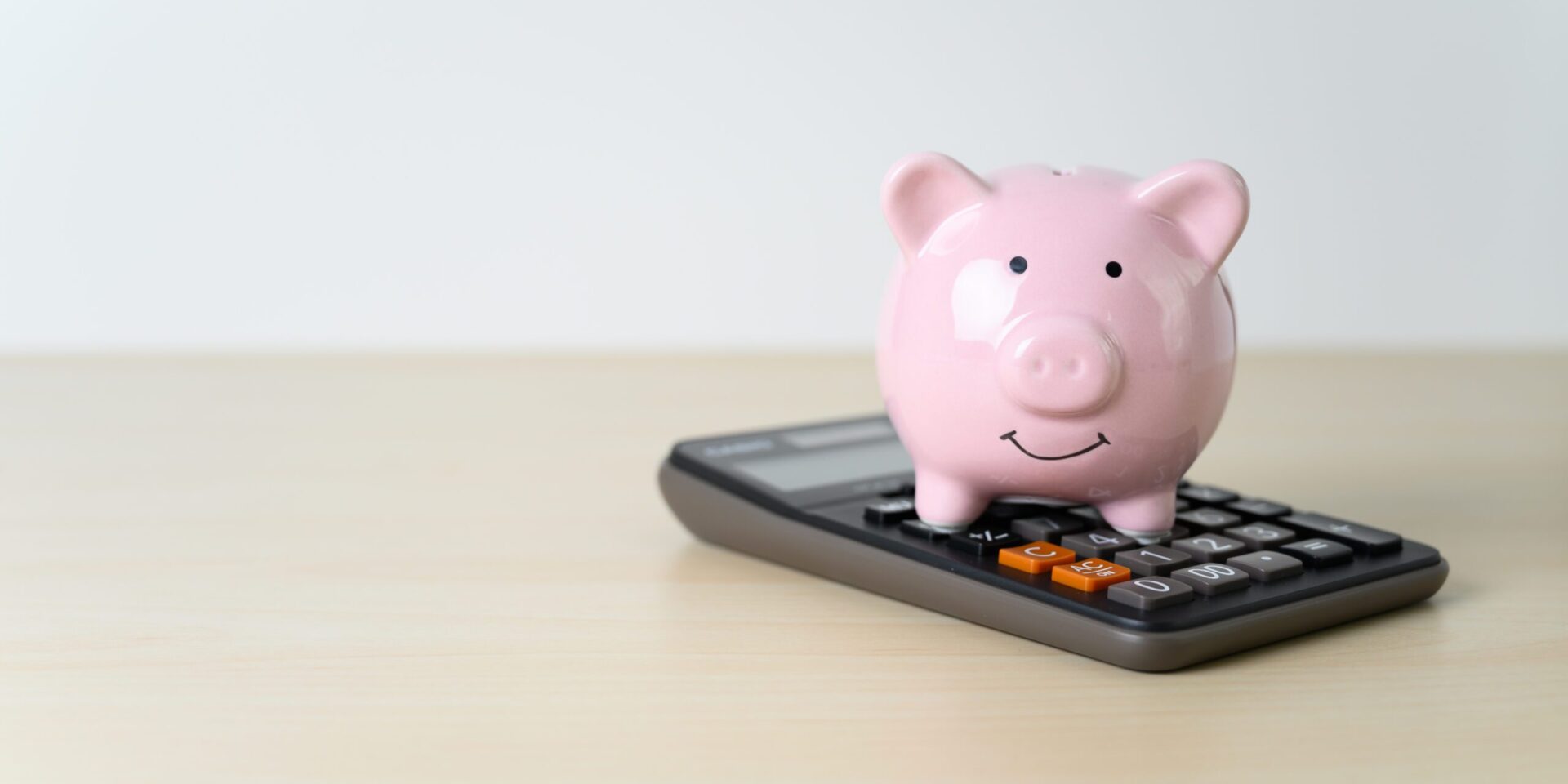 Tax Calculator Piggy Bank