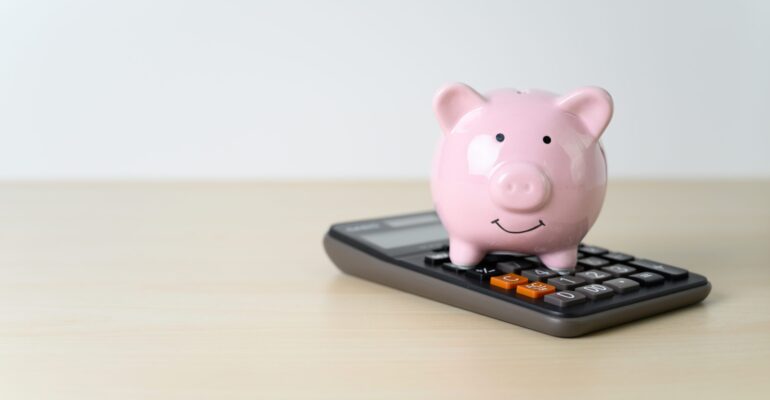 Tax Calculator Piggy Bank