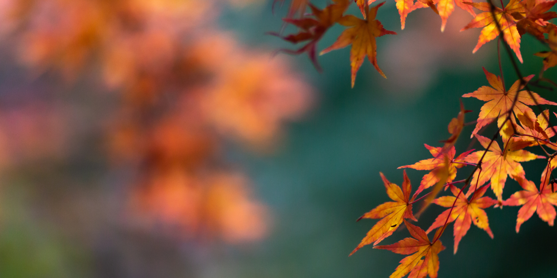 Autumn Budget Update