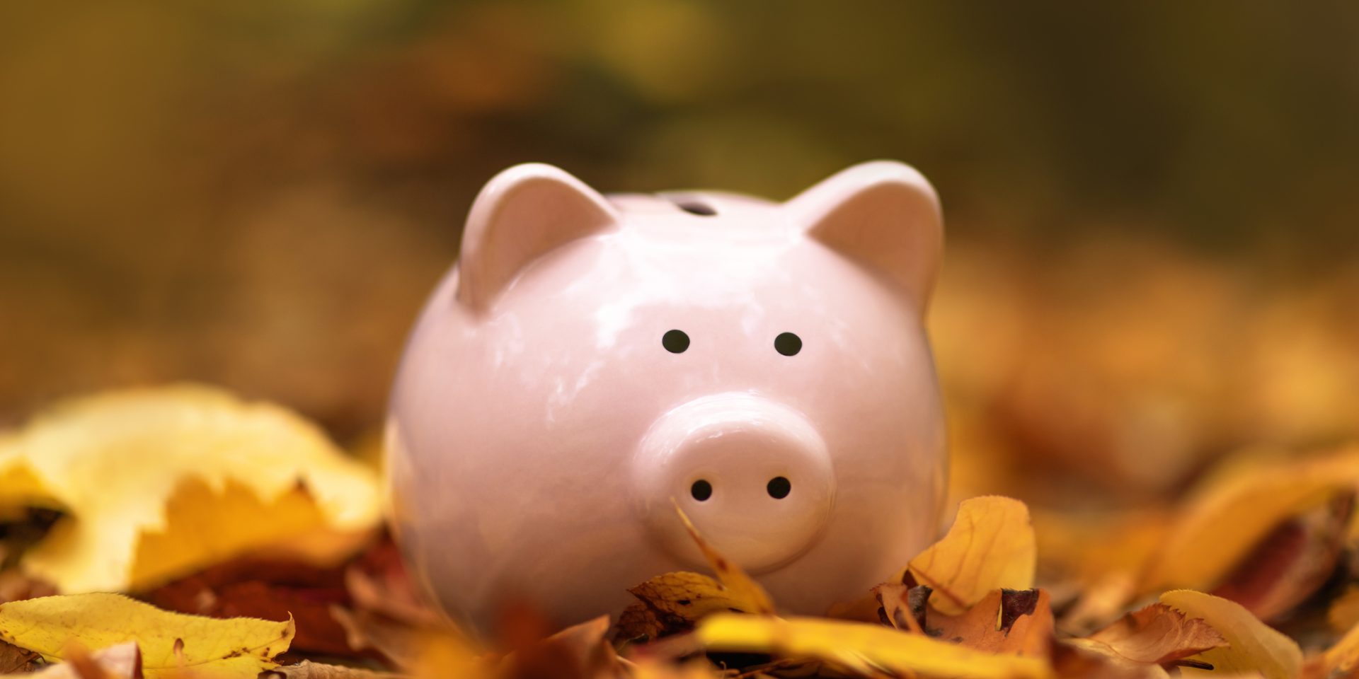 Autumn Budget Pension Savings