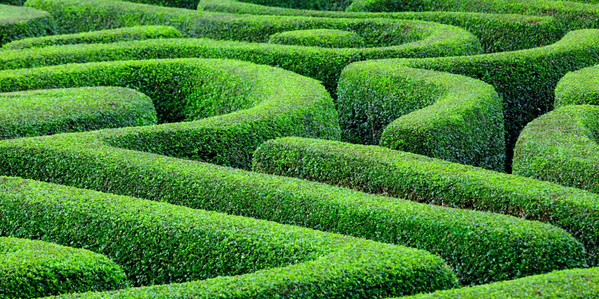 Navigating Change Financial Planning