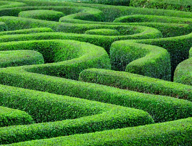 Navigating Change Financial Planning