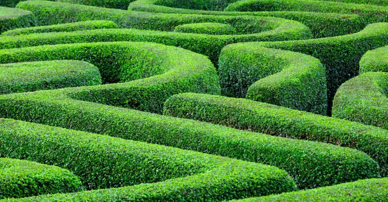 Navigating Change Financial Planning